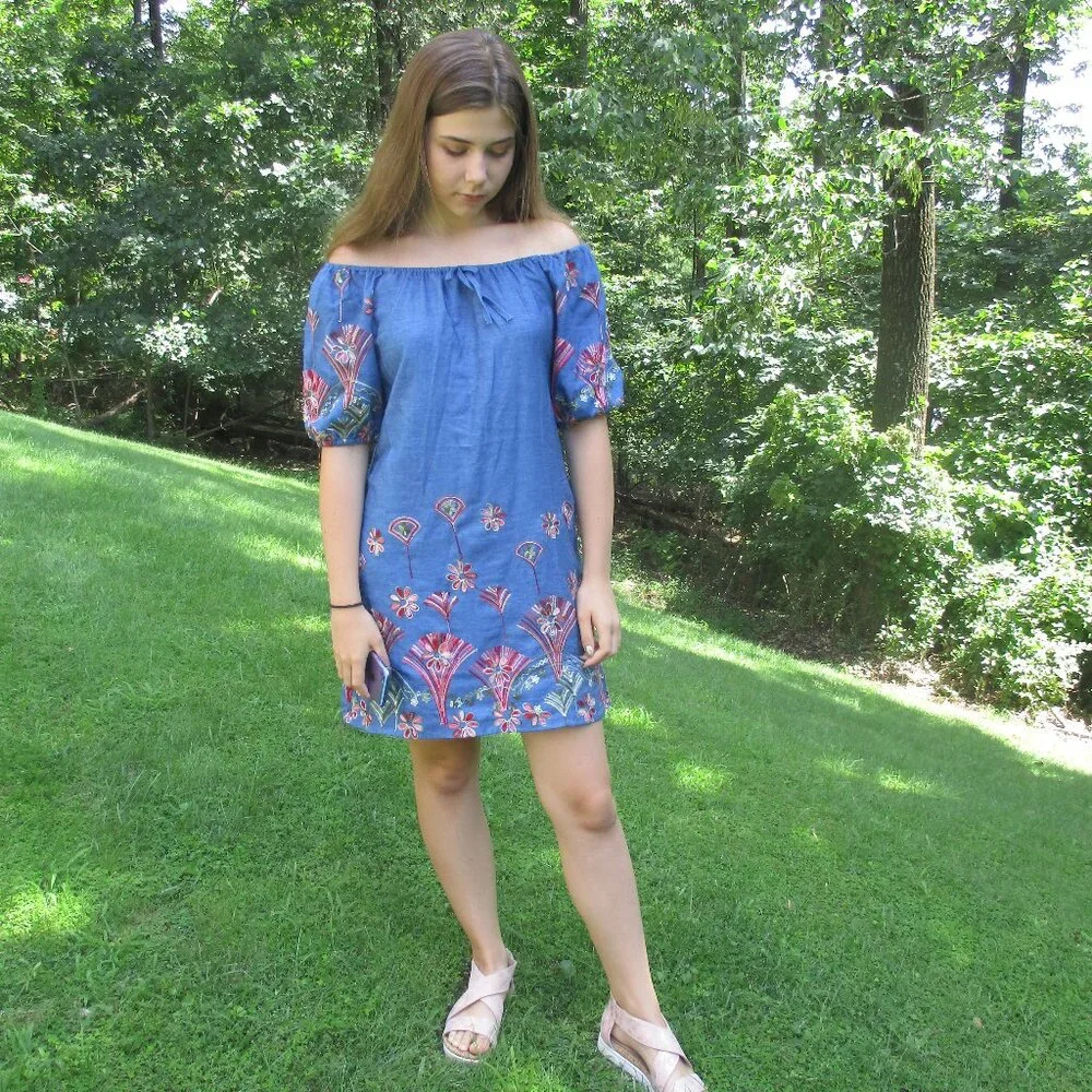 sz 7/8 Hayden LA Girls‎ Dress Chambray Embroidered NWT